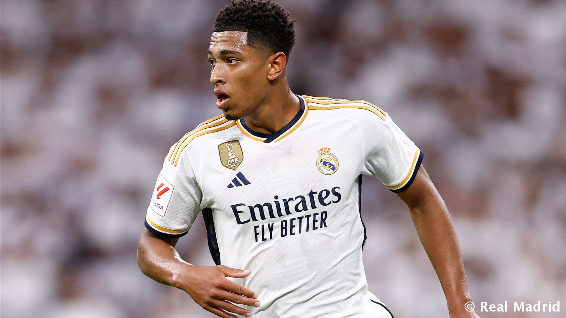 蓝军枪手 天王山之前 先在欧冠褪一层皮吧（天王山前，蓝军与枪手先在欧冠受一场硬仗洗礼）